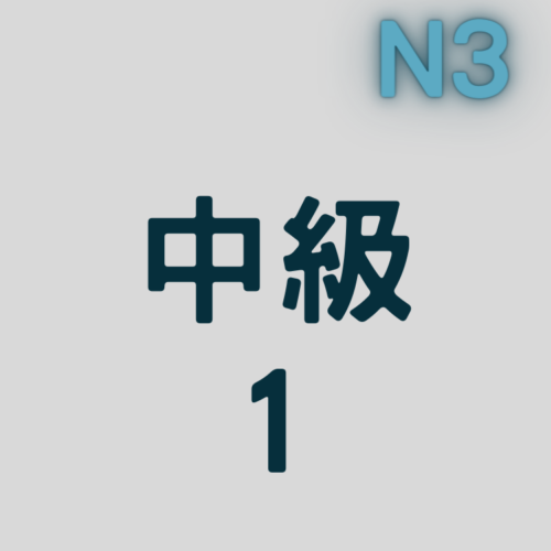 大家的日本語中級1 (N3)